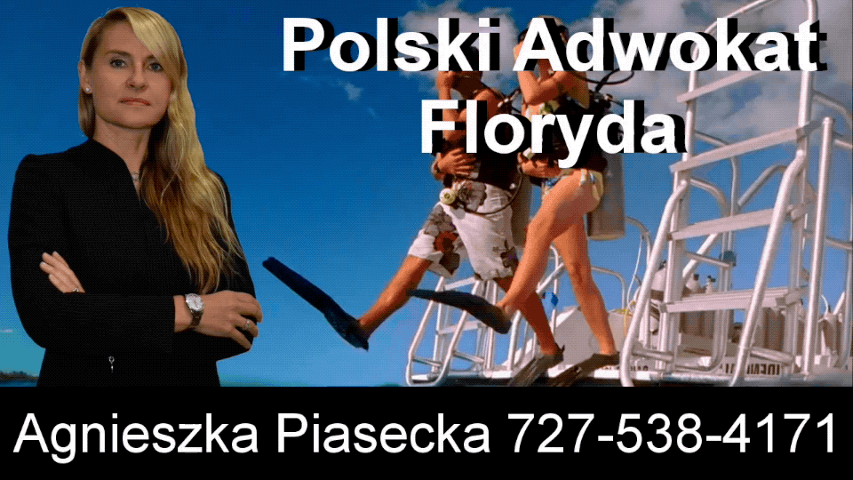 Polski, Adwokat, Prawnik, St. Petersburg, Floryda, USA, Agnieszka, Aga, Piasecka